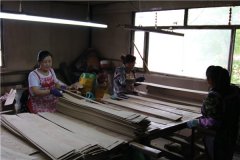 单板滚筒干燥机展示23