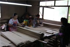 单板滚筒干燥机展示24